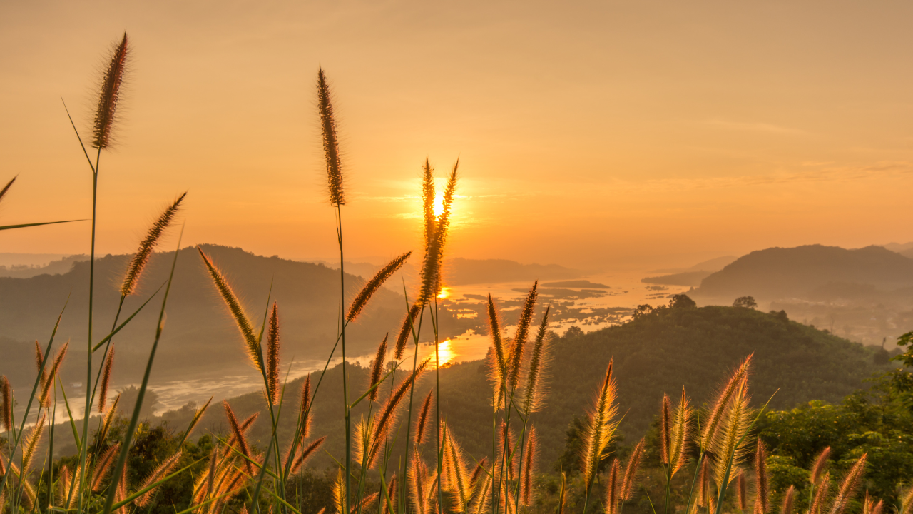 Como vão seus investimentos?